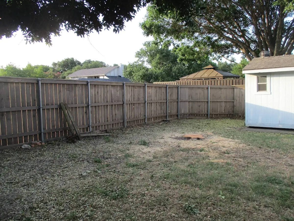 Cleared yard after professional tree removal in Rockdale